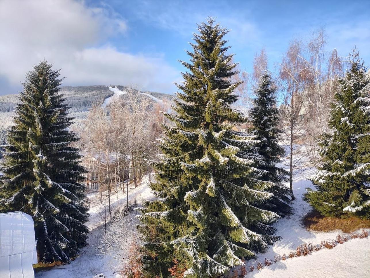 Třílůžkový pokoj Pension Kubů Špindlerŭv Mlýn Exteriér fotografie